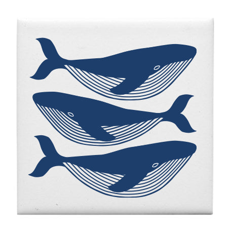 Whales Coaster