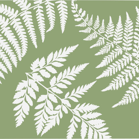 Fern